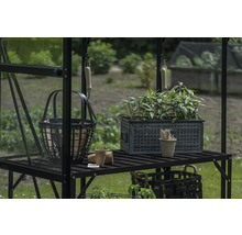 Scène de jardin avec table de culture, plantes et outils de jardin dans une serre.