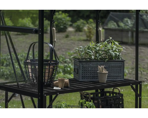 Scène de jardin avec table de culture, plantes et outils de jardin dans une serre.