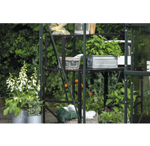 Étagère de serre avec plantes et décorations dans le jardin.