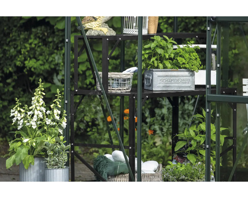 Étagère de serre avec plantes et décorations dans le jardin.