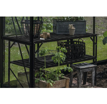 Étagère de serre avec plantes, paniers et outils de jardinage