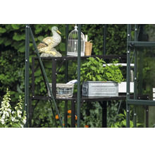 Serre avec étagère, décorations et plantes