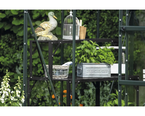 Serre avec étagère, décorations et plantes