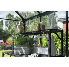 Étagère de serre avec herbes, pots et accessoires de jardinage
