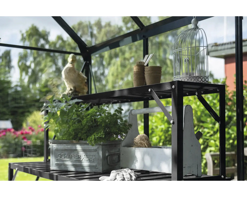 Étagère de serre avec herbes, pots et accessoires de jardinage