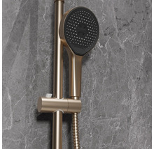 Duschkopf mit Duschstange und Brauseschlauch