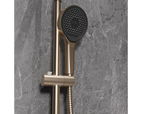 Duschkopf mit Duschstange und Brauseschlauch