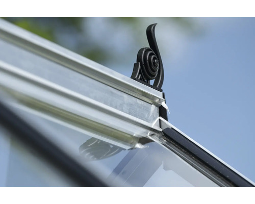 Vue détaillée d'une serre avec ornement décoratif