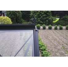 Vue détaillée d'une serre avec une décoration ornementale sur le toit