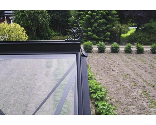 Vue détaillée d'une serre avec une décoration ornementale sur le toit