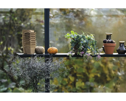 Étagère dans une serre avec pots de culture, plante, potiron, ficelle et vases