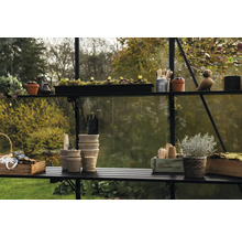 Intérieur de serre avec étagères, plantes, pots et outils de jardinage.