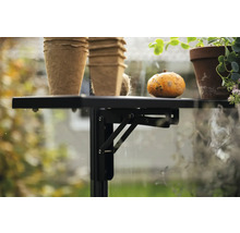 Table pliante avec pots de fleurs et courge dans une serre