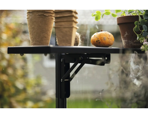 Table pliante avec pots de fleurs et courge dans une serre