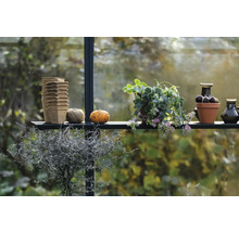 Étagère dans une serre avec pots de culture, plante, potiron, ficelle et vases