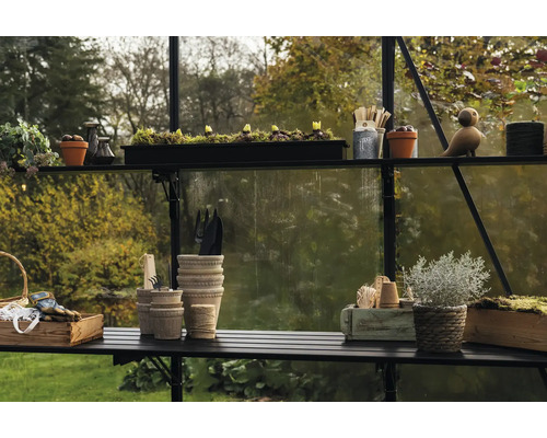 Intérieur de serre avec étagères, plantes, pots et outils de jardinage.