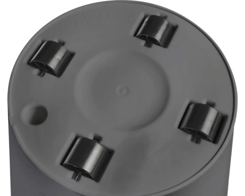 Rollbrett mit vier Rollen