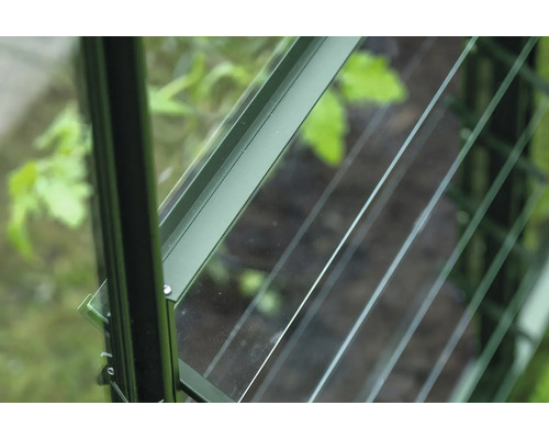 Vue détaillée d'une serre avec fenêtre