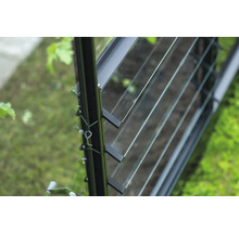 Vue détaillée d'une fenêtre de serre avec des lamelles