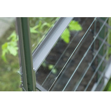 Vue détaillée d'une fenêtre de serre avec cadre en métal et vitres