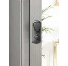 Porte avec serrure et poignée de porte