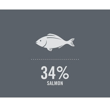 Symbole pour 34 % de saumon