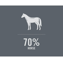 Illustration d'un cheval avec le texte 70 pour cent cheval
