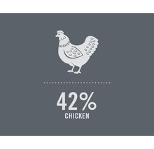Image symbolique indiquant 42 % de poulet
