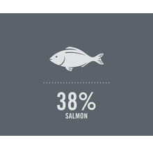 Symbolbild: 38 Prozent Lachs