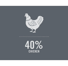 Symbole pour quarante pour cent de poulet