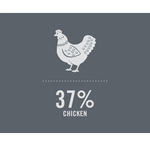 Illustration : 37 % de teneur en poulet
