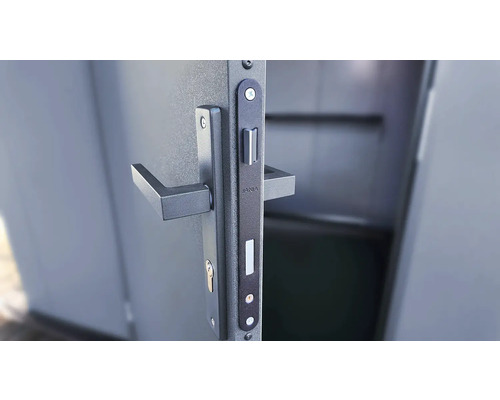 Türbeschlag mit Griff und Schließblech