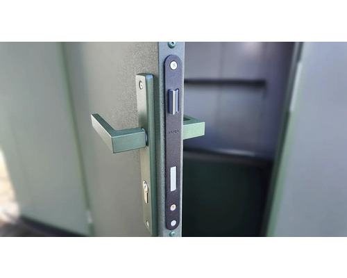 Porte avec ferrures et poignée de porte