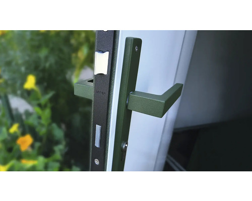 Garniture de porte avec poignée de porte et coffre de serrure vert olive
