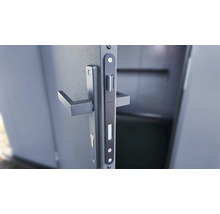 Garniture de porte avec serrure et poignée