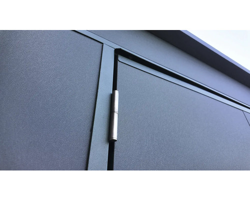 Vue détaillée d'une porte de jardin avec ferrures