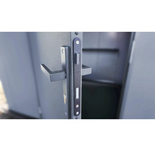 Porte avec ferrures de porte et ensemble de béquilles