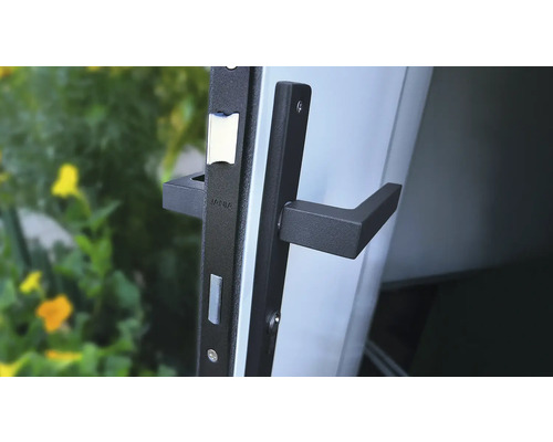 Vue détaillée d'une garniture de porte avec poignée de porte