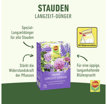 Compo Stauden Langzeit-Dünger Packung