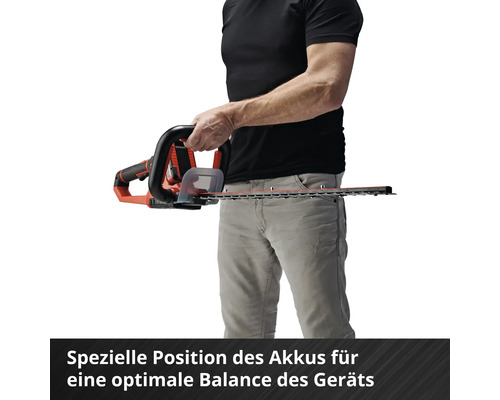 Une personne tient un taille-haie à batterie.