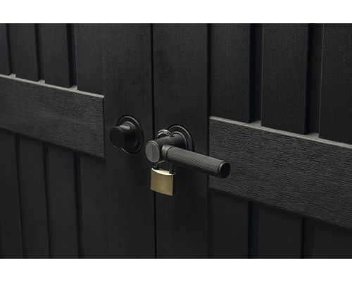 Gros plan d'une porte de jardin sombre avec serrure et poignée