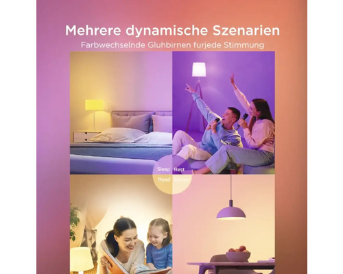 Smarte LED-Leuchtmittel mit vier Lichtszenarien: sanftes Licht zum Schlafen, buntes Licht, helles Licht zum Lesen und warmes Licht zum Essen.