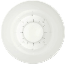 Vue intérieure du fond d'un pot de fleurs rond en plastique blanc avec des fentes de drainage.