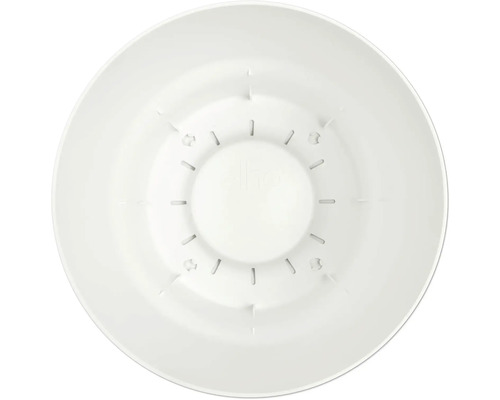 Vue intérieure du fond d'un pot de fleurs rond en plastique blanc avec des fentes de drainage.