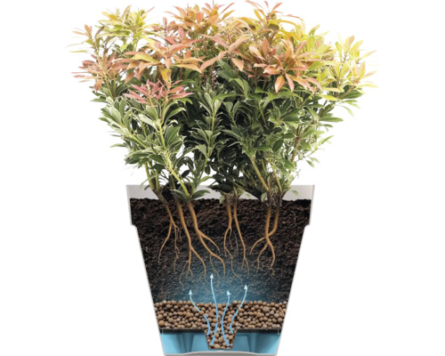 Coupe transversale d'un pot de fleurs avec système d'arrosage, montrant le terreau, les racines, les billes d'argile et le réservoir d'eau.