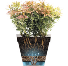 Coupe transversale d'un pot de fleurs avec système d'arrosage, montrant le terreau, les racines, les billes d'argile et le réservoir d'eau.