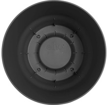 Vue intérieure d'un pot de fleurs rond en plastique noir avec elho Logo et structure de fond.