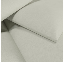 Vue détaillée d'un papier peint clair et texturé avec une structure de surface fine.