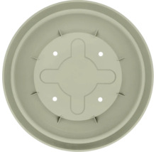 Soucoupe ronde pour pot de fleurs en plastique vert sauge vue de dessus.