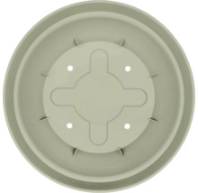 Soucoupe ronde pour pots de fleurs en plastique avec ouvertures de drainage.
